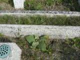 image of grave number 206643